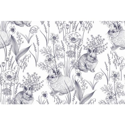 Tapéta / Wallvision