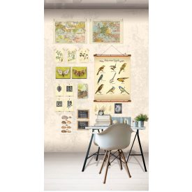 Behang / Wanna Haves tapéta