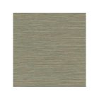 Fine Decor /  Arber tapéta