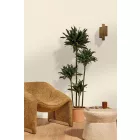 Caselio / Elea tapéta