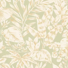 Caselio / Elea tapéta