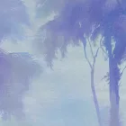 K'moor / Ambience poszter