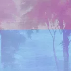 K'moor / Ambience poszter