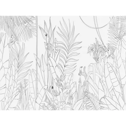 RIMURA / Main Collection