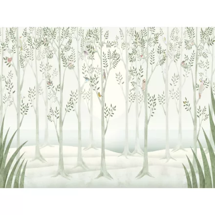 RIMURA / Main Collection