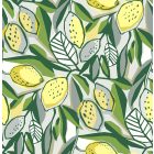 Fine Decor /  Seychelles tapéta