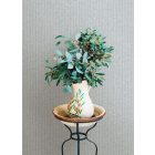 Fine Decor /  Terrace tapéta