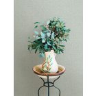 Fine Decor /  Terrace tapéta