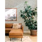 Fine Decor /  Harmony tapéta