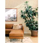 Fine Decor /  Harmony tapéta