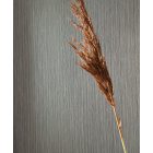 Casadeco / Fiber tapéta