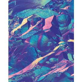 Komar / Flair poszter