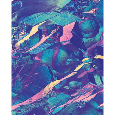 Komar / Flair poszter