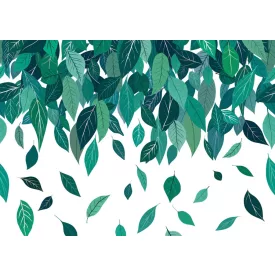 Komar / Flair poszter