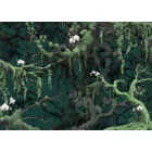 Komar / Flair poszter