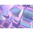 Komar / Flair poszter