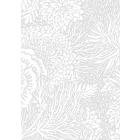 KEK Amsterdam / tapéta