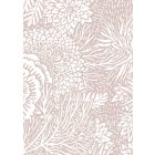 KEK Amsterdam / tapéta