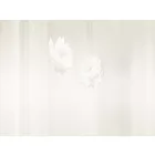 RIMURA / Main Collection