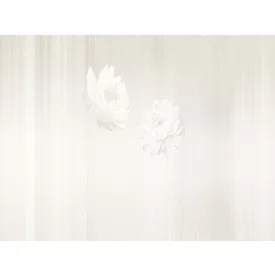 RIMURA / Main Collection