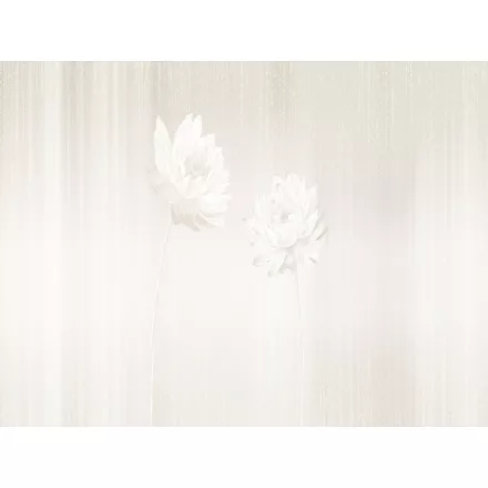 RIMURA / Main Collection