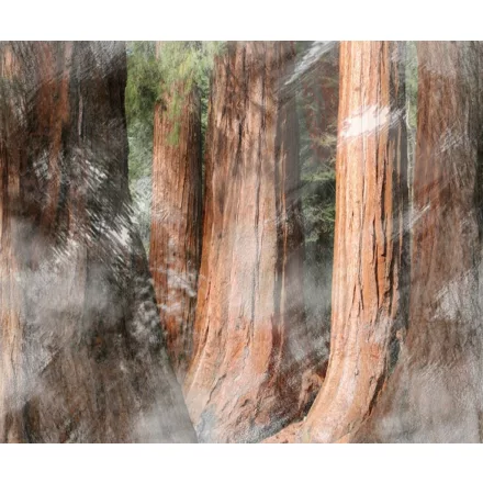 Wall&Deco  CWC  Abstract