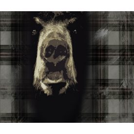 Wall&Deco  CWC  Abstract