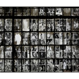 Wall&Deco  CWC  Architecture