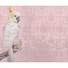 Wall&Deco  CWC  Animals