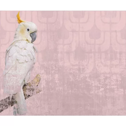 Wall&Deco  CWC  Animals