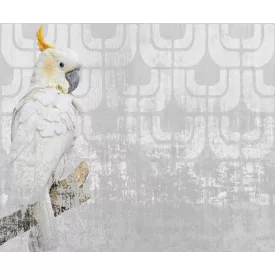 Wall&Deco  CWC  Animals