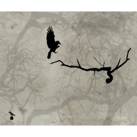 Wall&Deco  CWC  Abstract