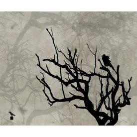 Wall&Deco  CWC  Abstract