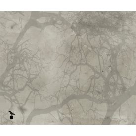 Wall&Deco  CWC  Abstract