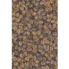 Casadeco / Heritage tapéta