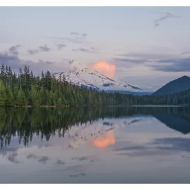 Casadeco / Home Sweet Home tapéta