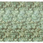 Komar / Heritage poszter