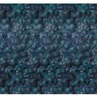 Komar / Heritage poszter