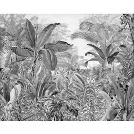 Komar / Into Wonderland poszter