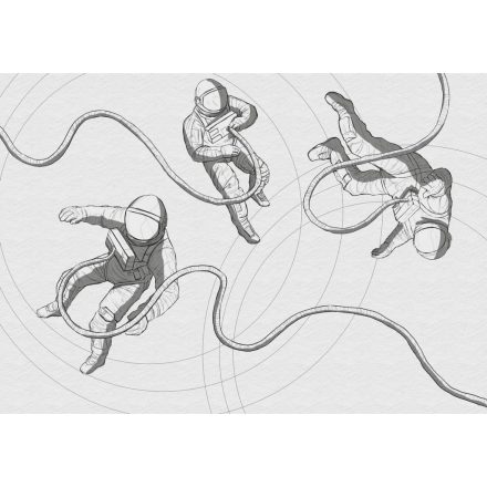 Komar / Into Wonderland poszter