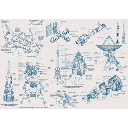 Komar / Into Wonderland poszter