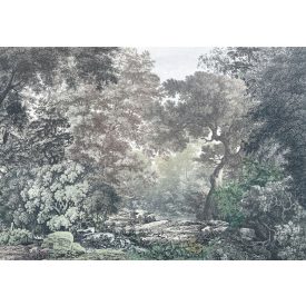 Komar / Into Wonderland poszter