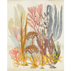 Komar / Infinity 2 poszter