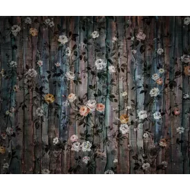 Komar / Infinity 2 poszter