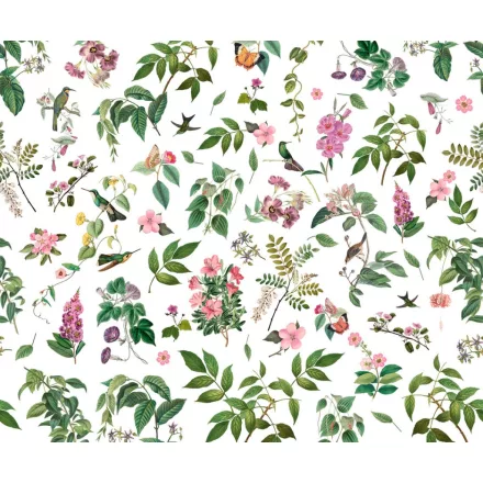 Komar / Infinity 2 poszter