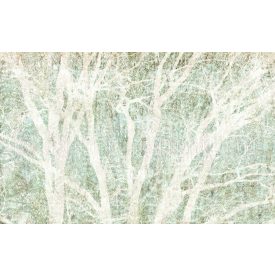 Komar / Infinity 2 poszter