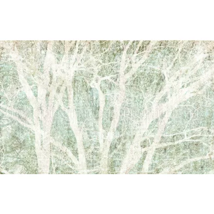 Komar / Infinity 2 poszter