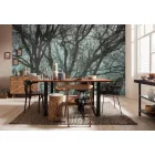 Komar / Infinity 2 poszter