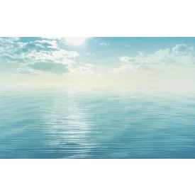 Komar / Infinity 2 poszter