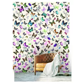 Behang / Color Choc tapéta